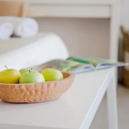 Agnandi Cielo * 투를로스