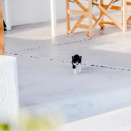 펜션 Agnandi Cielo 투를로스