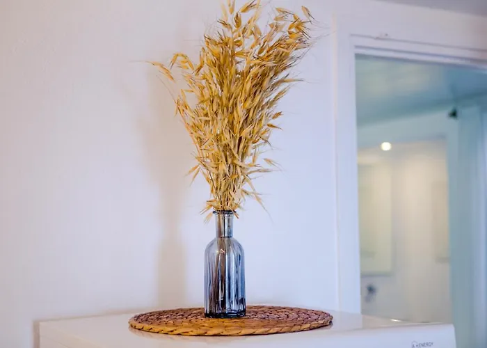 أغناندي سييلو *