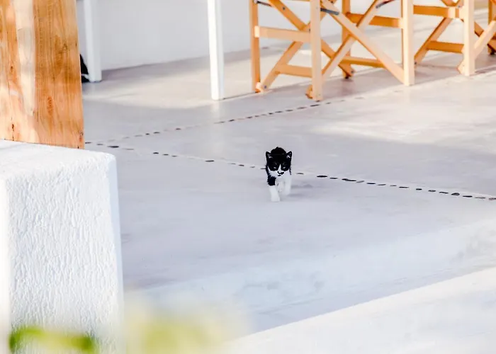 بيت للعطل أغناندي سييلو تورلوس