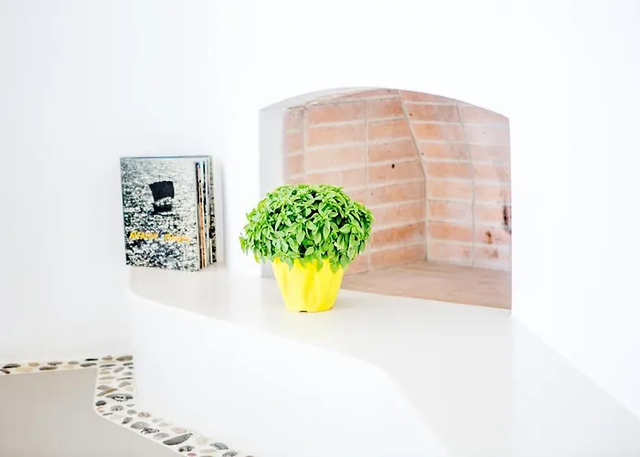 أغناندي سييلو *